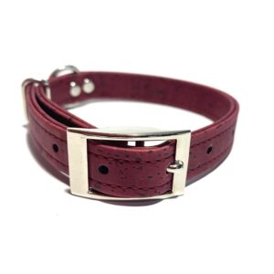 Collier Kaya pour chien & chat