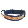 Collier chien Spike