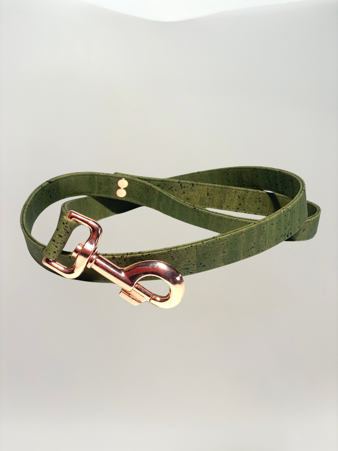 laisse pour chien & chat