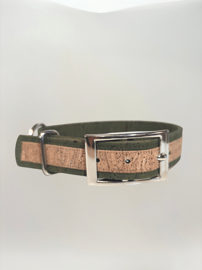 Collier pour chien & chat