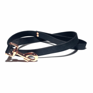 Laisse chien Angel