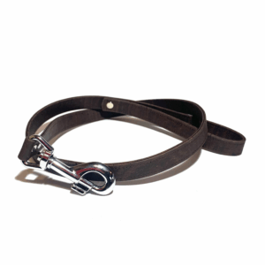Laisse chien Ares