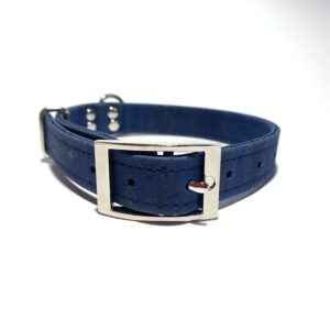 Collier chien Spike