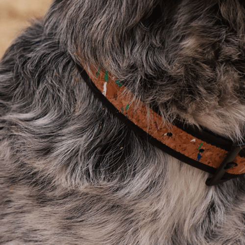 Collier pour chien en liège noir