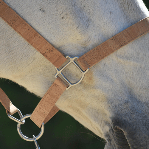 Licol pour chevaux