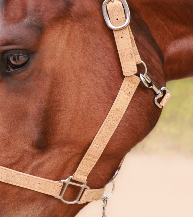 Licol cheval de la marque AngelAres