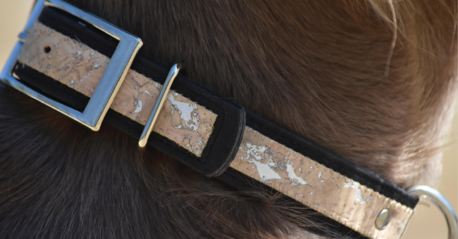 Collier chien de la marque AngelAres