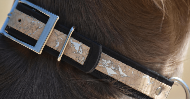 Collier chien de la marque AngelAres